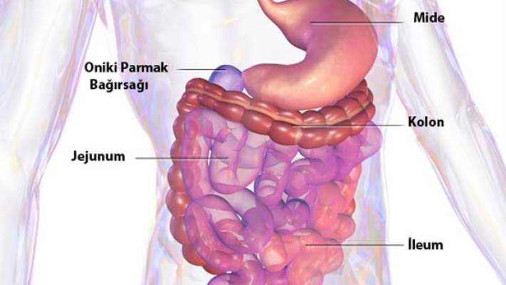 Crohn Hastalığı Hakkında 5 Yanlış İnanış