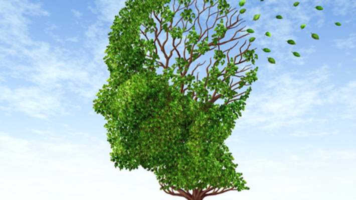 Alzheimer Hastalığının İlk Evre Belirtileri