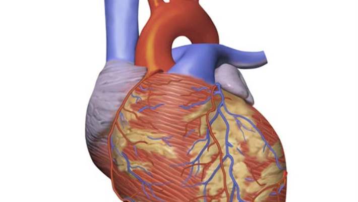 Atrial Çırpınım Nedir?