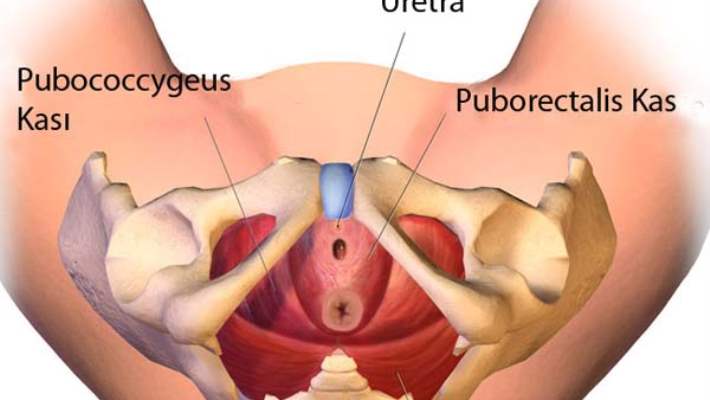 Rahmin Endometriyal Hiperplasizi