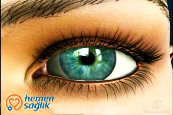 Rekraftif Cerrahi Nedir?